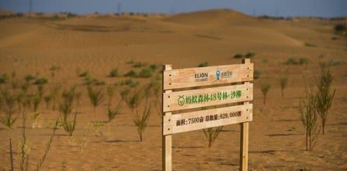 蚂蚁森林|马云曾花天价在沙漠种树，如今三年多过去了，沙漠变成什么样了？