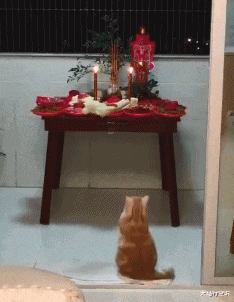 小姐姐|“这是华为1996年的招聘广告,大家自己感受下!”哈哈哈哈人才啊