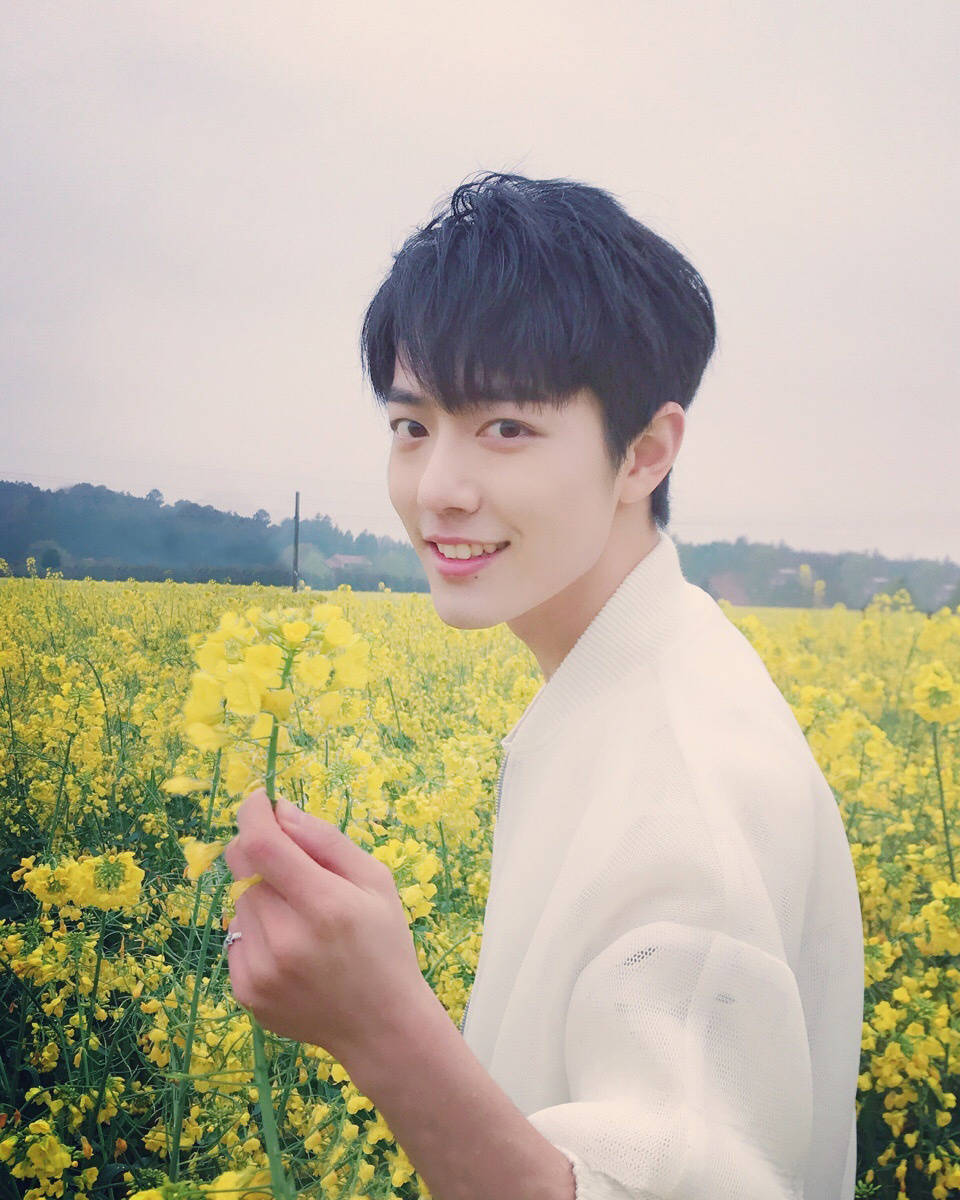 五竹|《斗罗大陆》定档啦!鹅厂独播,CCTV8同步播出!