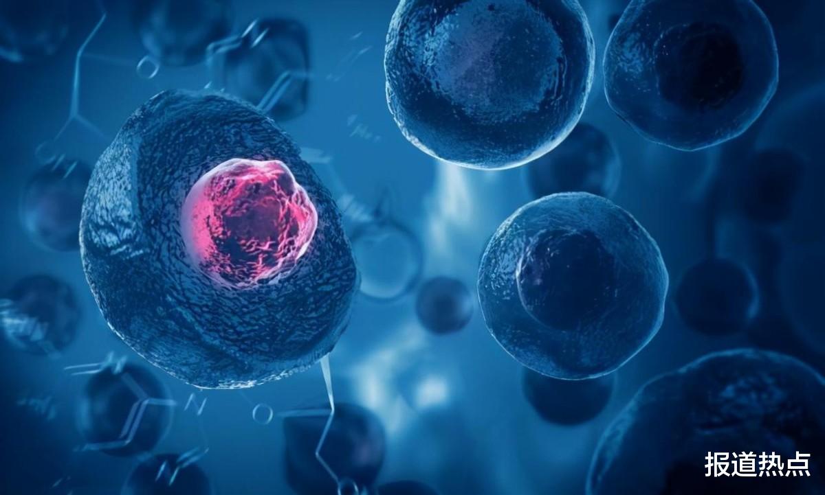 航天员 硅基生命或许真的存在！比人类更强大，可看作“永生”序列生物