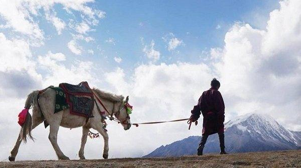 |丁真清纯颜值大翻车，眼神浑浊暗淡无光，身材发福似路人