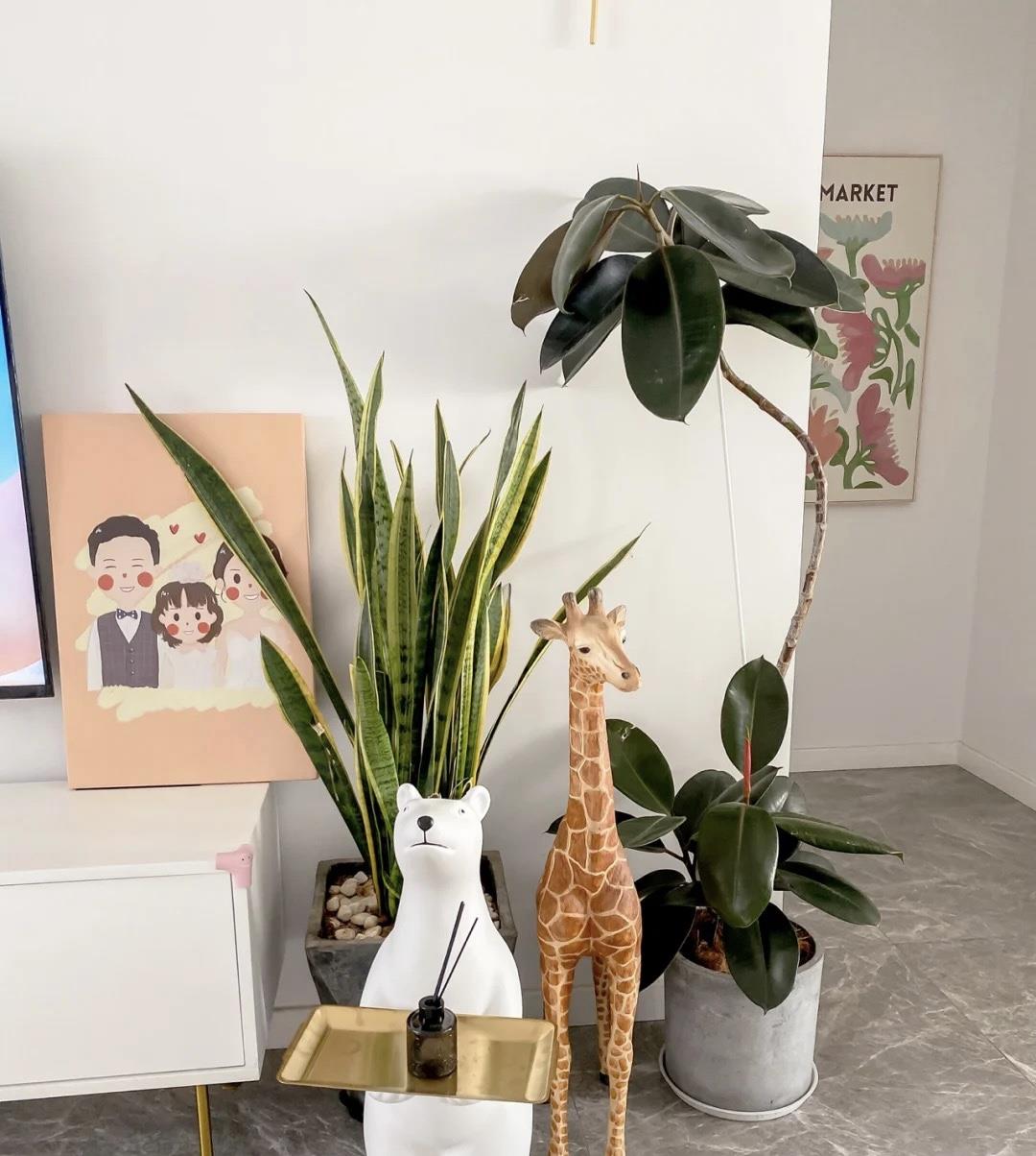 从校园到一家三口，我们110㎡的小家，温馨又“不简单”