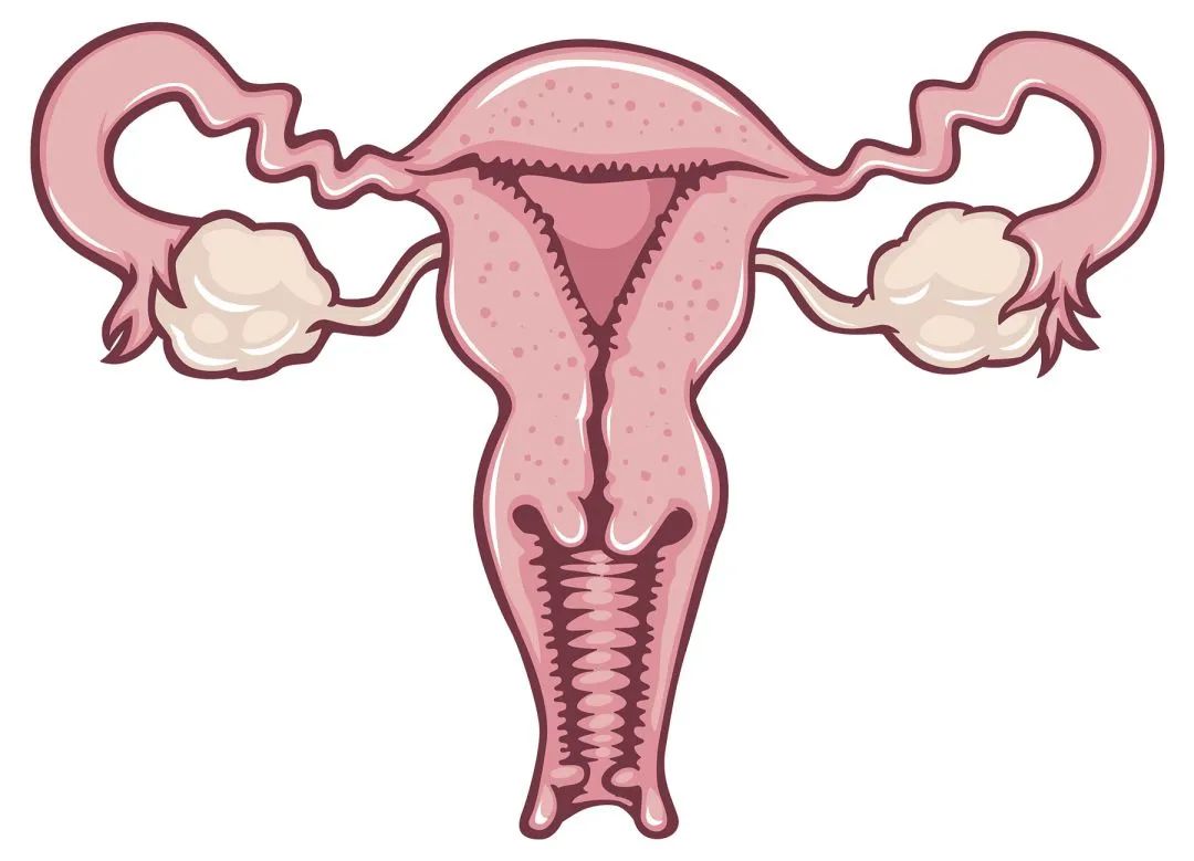 郑州中原科大医院|郑州子宫腺肌症的症状！