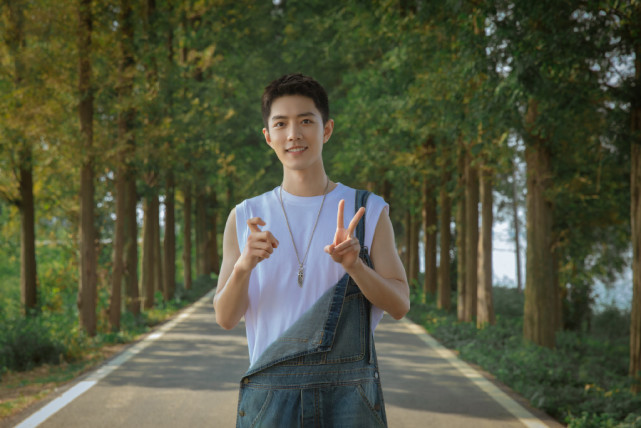 肖战|被屎盆子扣头上，肖战一口气告了四个网友，这事就离谱