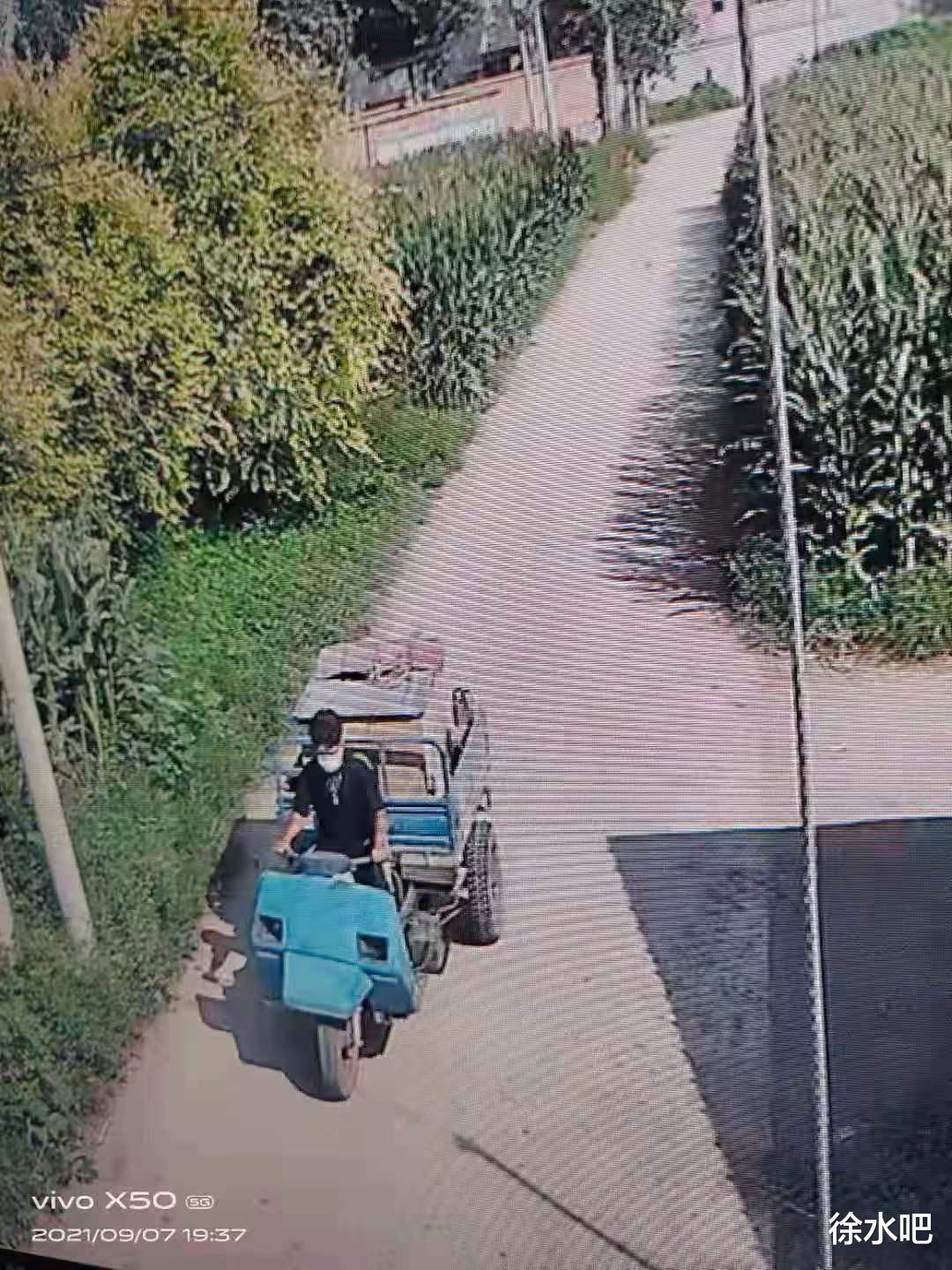 荆门 贼猖狂！大白天保定三马车接连被盗，看到速报警！