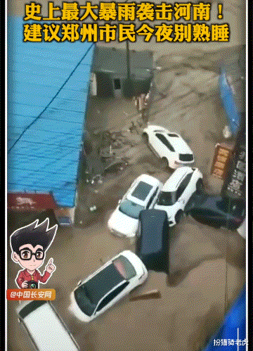 扮猫骑老虎|24小时内,450个西湖涌进郑州,我不敢看河南人的朋友圈