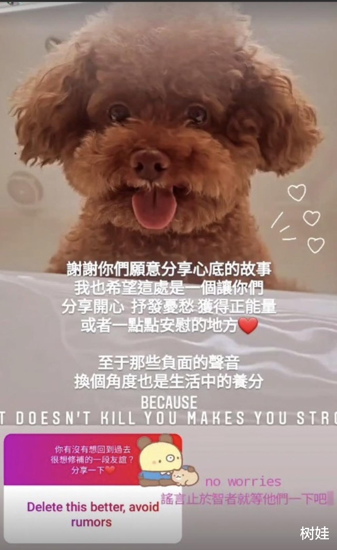 李泽楷|郭嘉文公开邮箱找工作,与李泽楷分手甚嚣尘上,相恋五年婚嫁无期