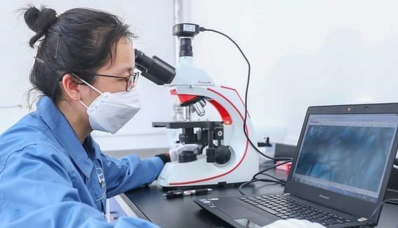 萌听小c姐|高考满分！海南考生取得900分好成绩，将就读“卡脖子”专业