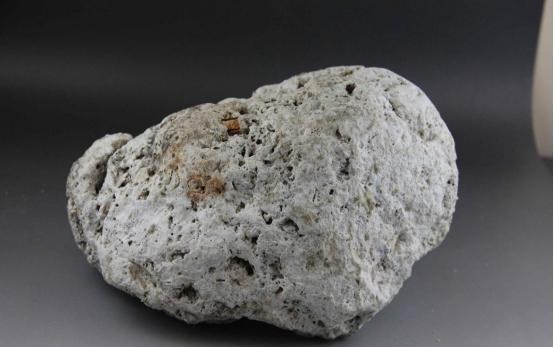 鲸鱼 150万美元的粪便：鲸鱼排泄量巨大，为何它的粪便价值超过黄金