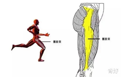 哮喘|腰腿痛的病因，全在这里了！（干货收藏）
