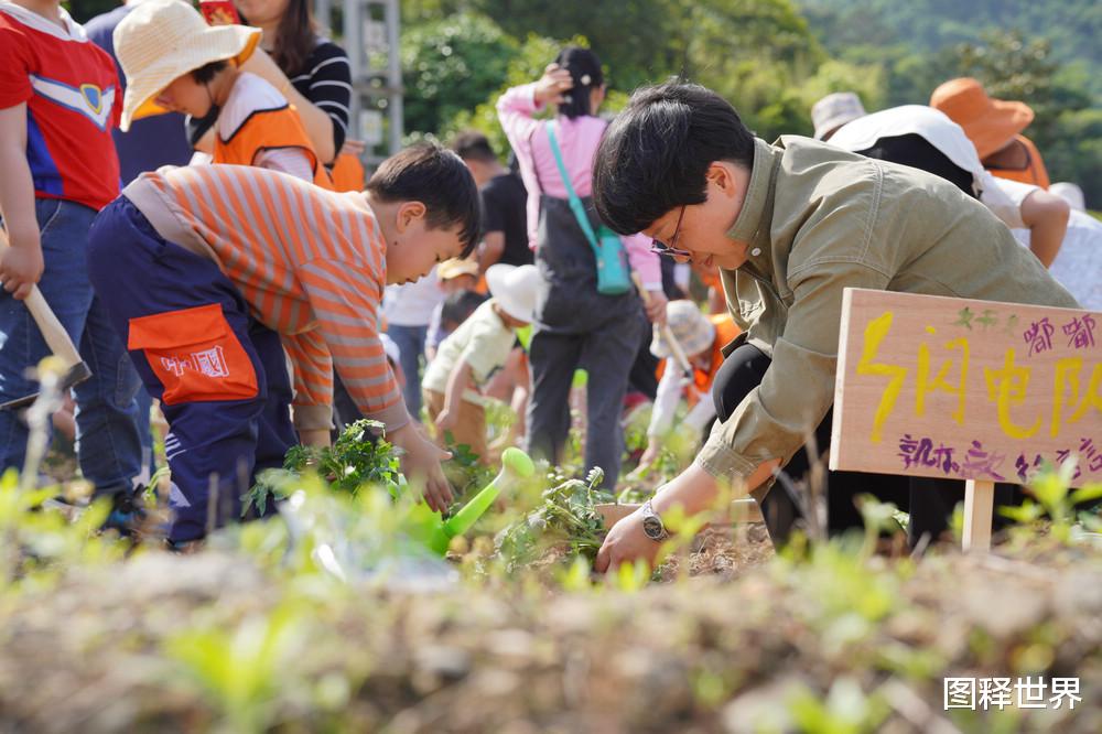 图释世界 野外涂鸦 荧光骑行 星空音乐 开心农场 花满棠棣 开启花乡蝶变
