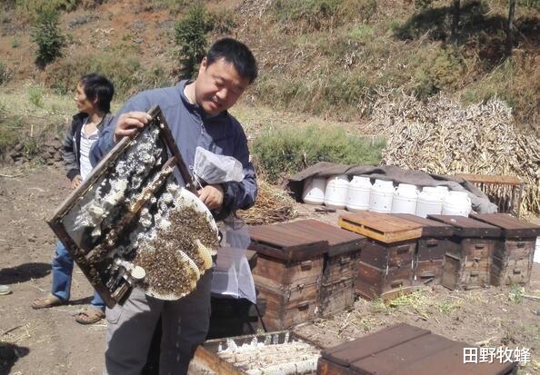 田野牧蜂|宫寒可以吃蜂王胎吗? 蜂王胎中年女人吃好吗?