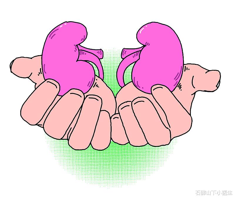 石佛山下小医生|肾脏是高血压攻击的靶器官，如何早期发现肾损害，需要警惕夜尿增多