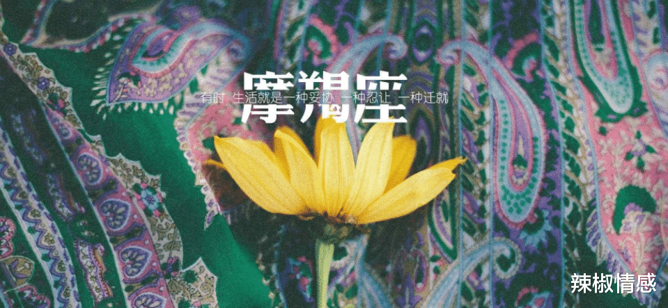 辣椒情感|孤独且高傲的星座：情商高却爱装傻，有能力也不屑与人争抢