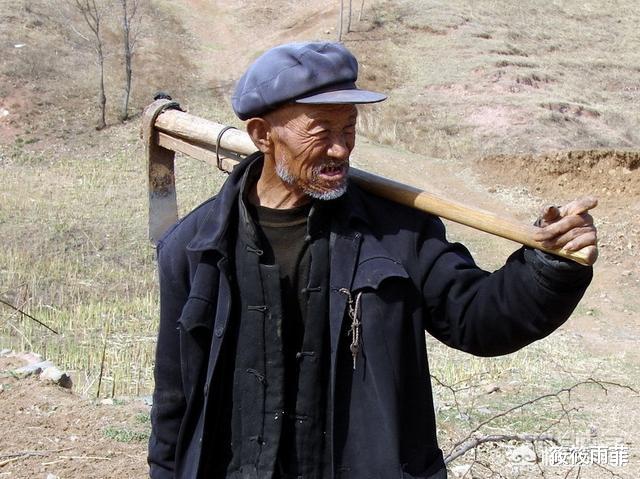 毒液 蛇的弱点你知道哪些?在野外碰到蛇该怎么做呢?