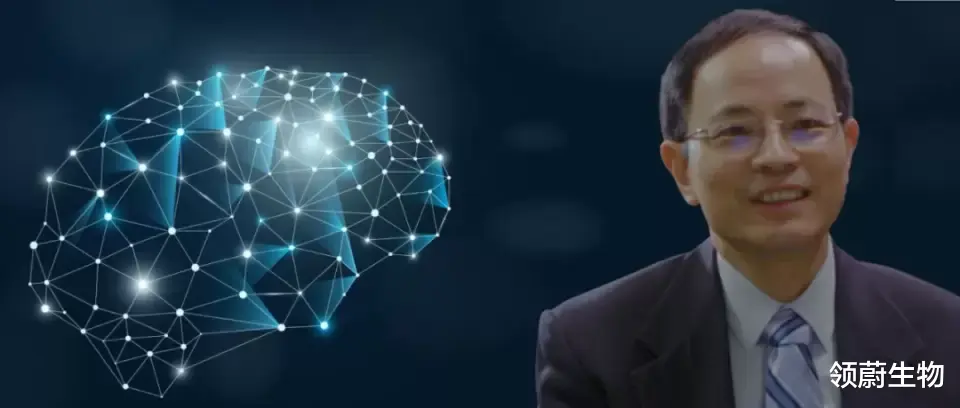 简洁如照片 独家专访:陈功教授解读胶质细胞向神经元转分化的研究争议