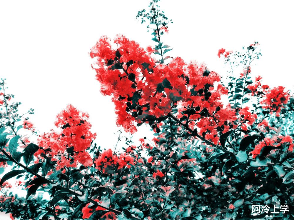 钓鱼的医生|《钓鱼的医生》王淡人去钓鱼是一个好医生吗？他的医术到底怎样？