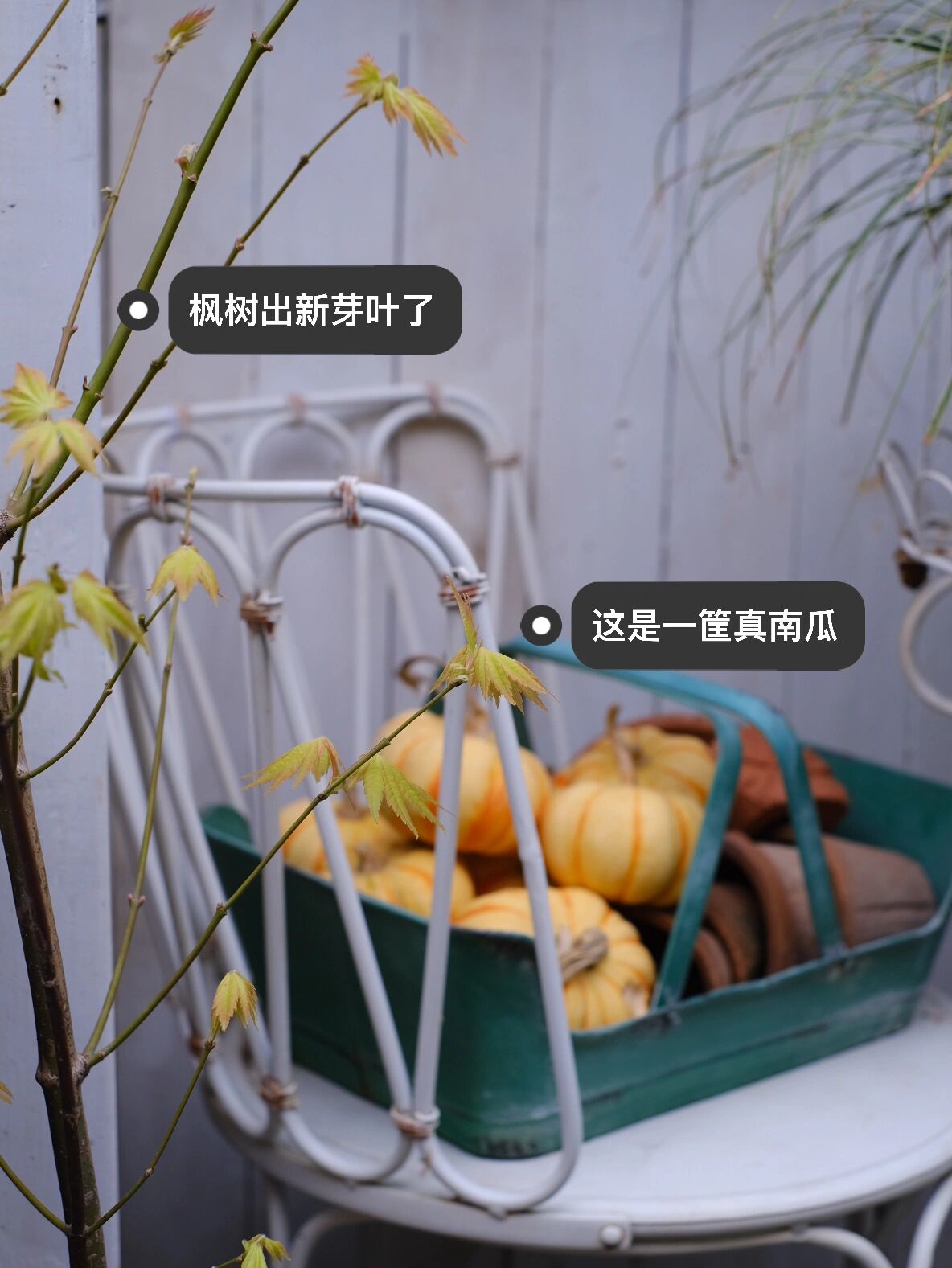 香水|DIY改造，28㎡楼顶露台小花园，每天的折腾终于把露台变美了