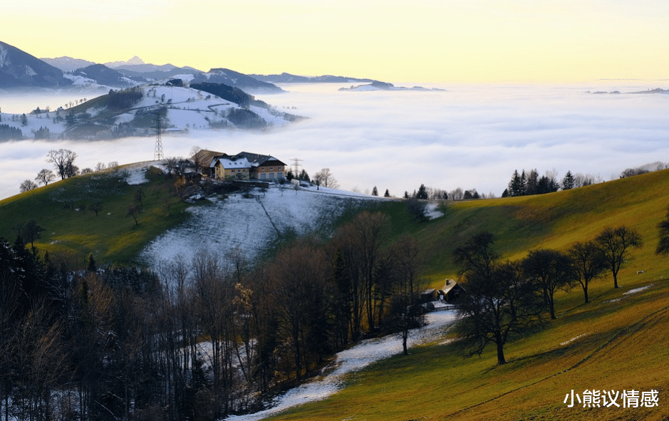 小熊议情感|深爱一个人，会有的4个“情不自禁”