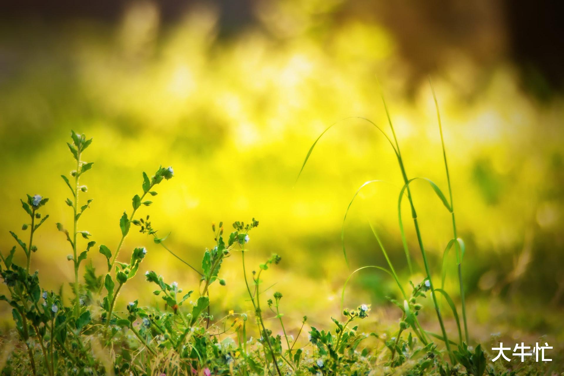 大牛忙|怎么写出爱情短句文案？探讨一下写法，想懂别人，先懂自己