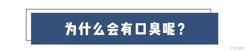 小美说美 玩手机会导致口臭吗