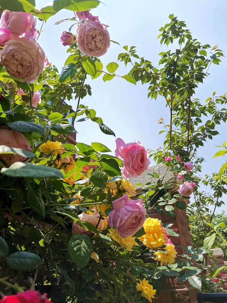 3年匠心打造，一楼90㎡庭院花园，现代与古典融合，美得令人陶醉