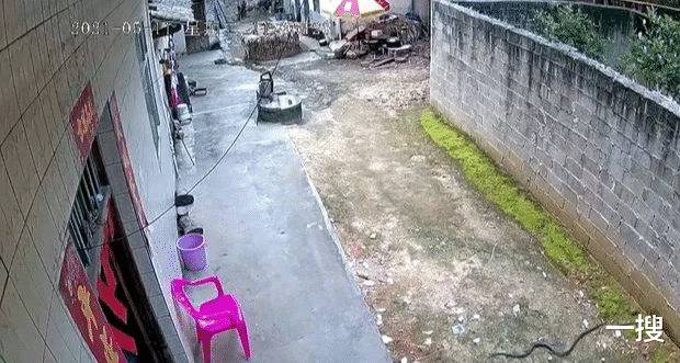 一搜 广西一户人家溜进一条大蛇，这是何寓意？