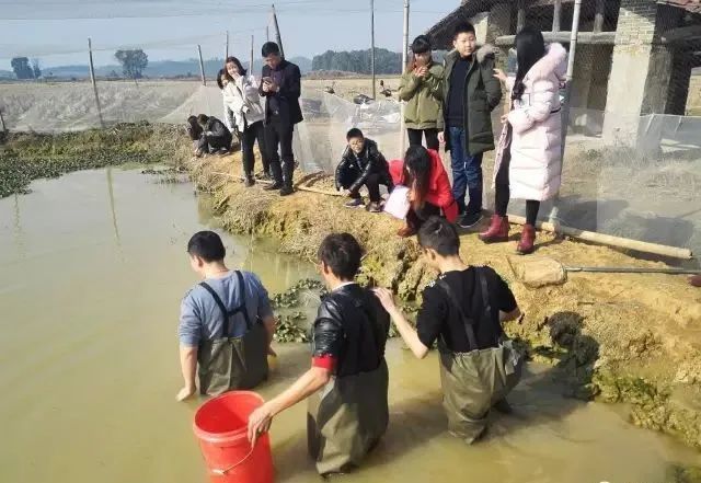 创业|江西农村将迎来新机遇，疫情后，十大创业项目出炉