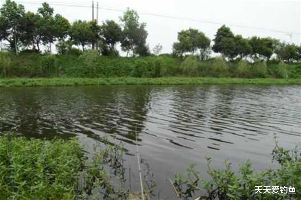 饵料|夏季钓鱼，选择活水钓点，试试这种钓法，不用浮漂也能钓大鱼！