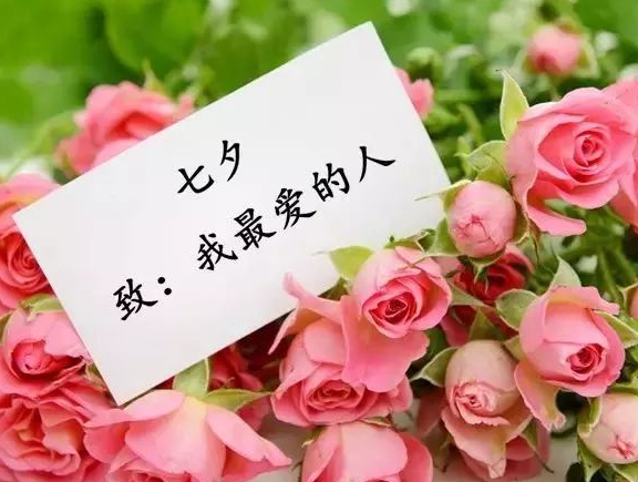 无言门主|爱我的人和我爱的人,你会作何选择?