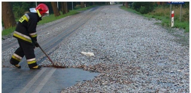 天上会下“鱼雨”?上万条鱼从天而降落,它们到底是如何上天的?