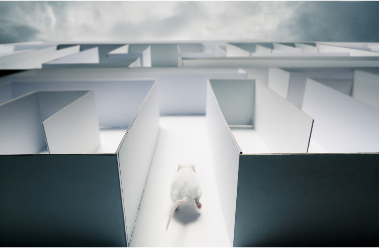  科学研究表明，有可能不是坏人变老了，而是老人变“坏”了