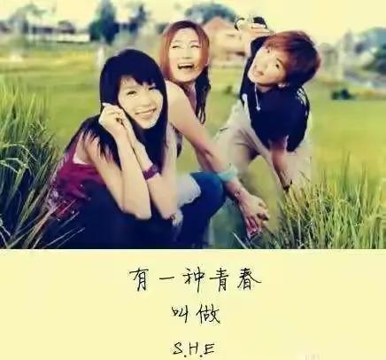 Selina|陈嘉桦三楼跳下，任家萱声带受损，田馥甄单飞，SHE解散一言难尽