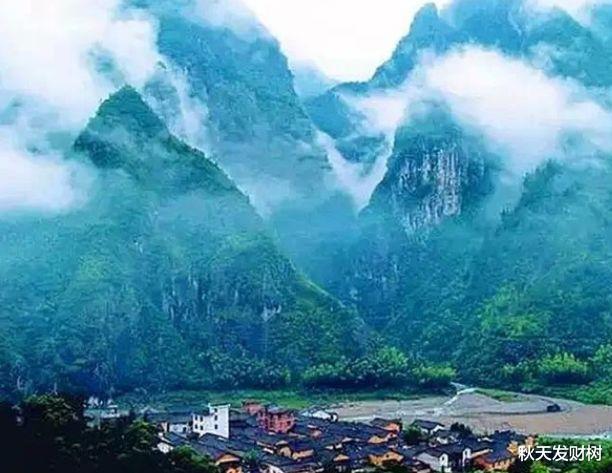 秋天发财树 男子月薪两三万，只花十块钱给母亲买鞋，最后被自己妻子活活逼死