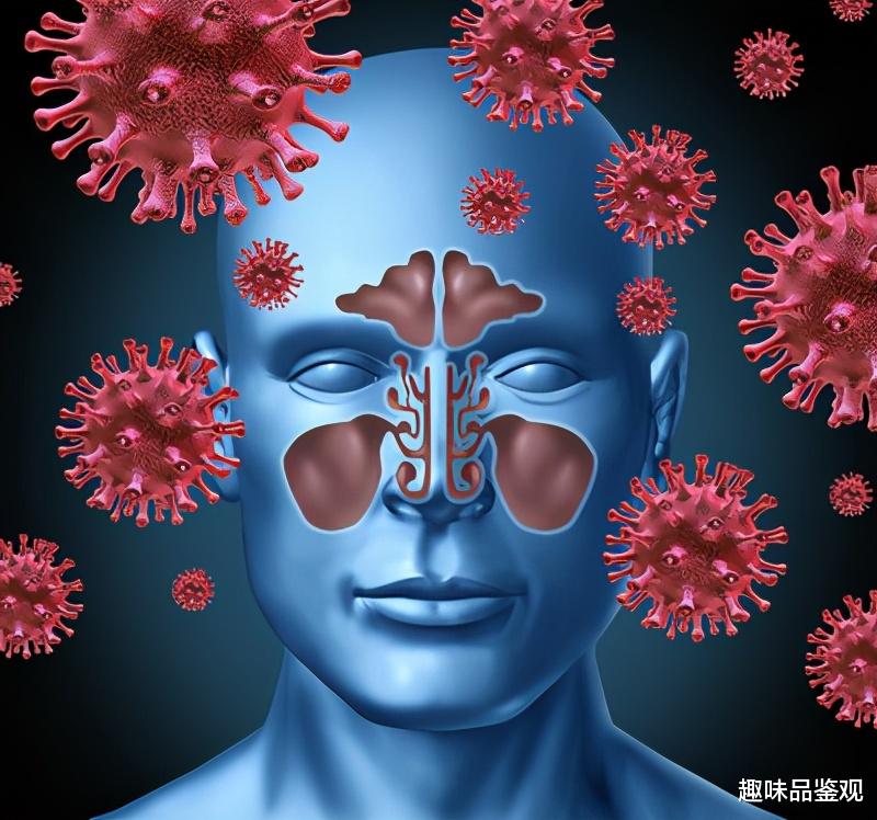  人的形成不是因为进化，全是靠细菌？人类会被更强大的生物代替？