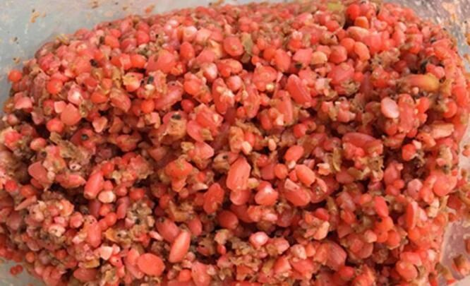 四川省|水库钓鱼打窝技巧 钓鱼技巧