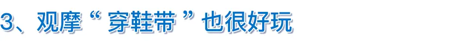 笑看人生和平最真|孩子几岁可以学着系鞋带了？家长可以怎么教？
