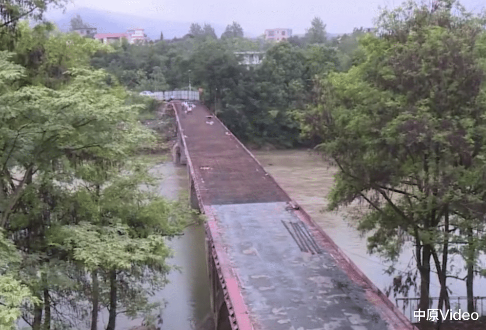 中原Video 10多岁女孩被邻居拐卖去乞讨赚钱，20多年后和家人团聚，邻居却要私了