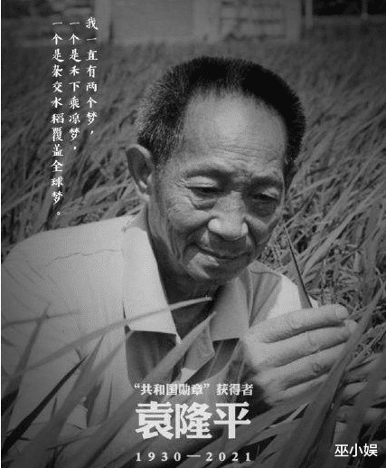 水稻|袁隆平遗照曝光！长沙菊花卖到断货，湘雅医院门口还竖着三束水稻！