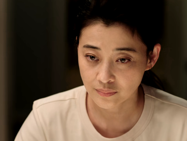 梅婷|播1集豆瓣五星飘满屏，梅婷令观众成功入坑，央视又拿到收视王牌