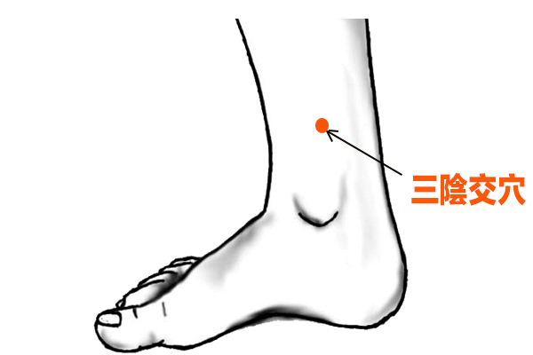 听杨医生说|想要气血好、身体更棒，医生：要注意肝肾同养，注意滋养精血