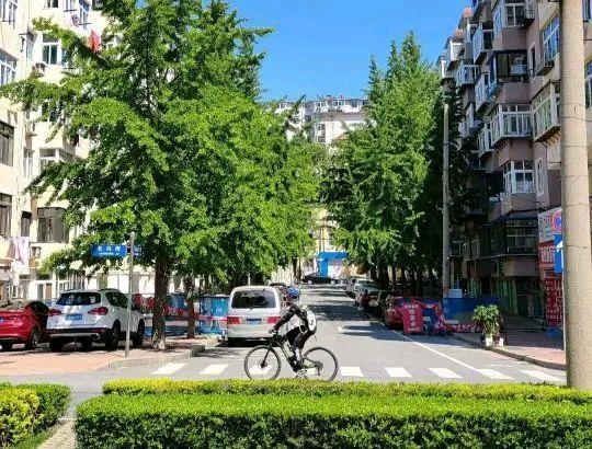 黄瓜|五月瘦身冲刺季，市场上这8种果蔬要多吃，给自己的减肥来助力