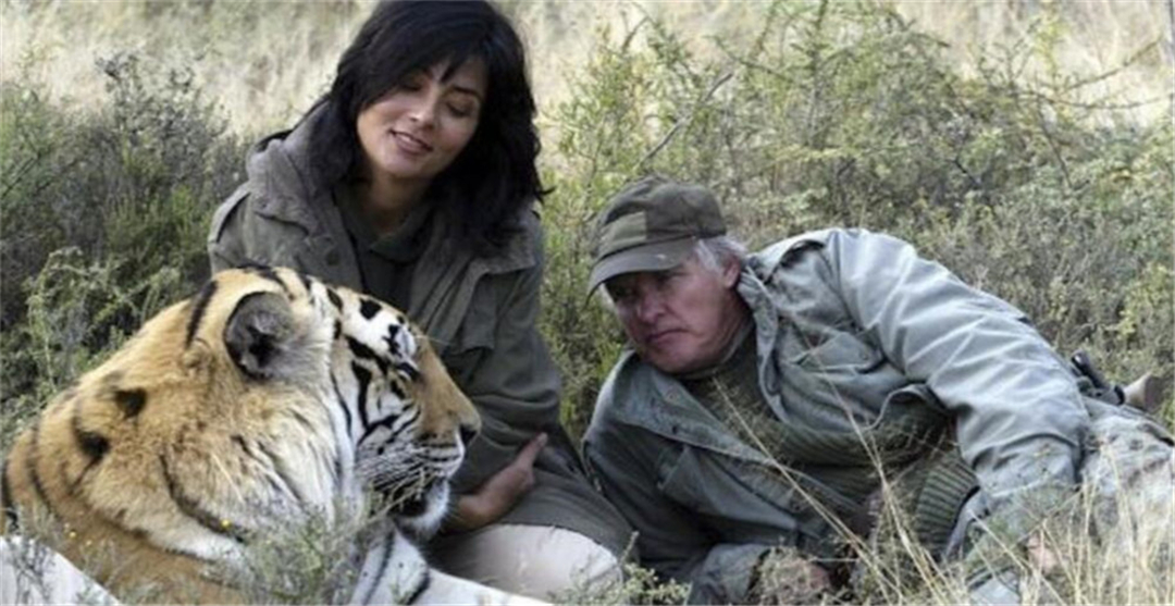 西班牙|老虎谷真相：被送到非洲大草原的两只华南虎，后来怎么样了？