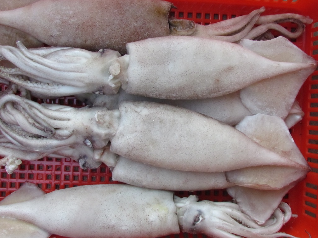 熊猫医学社|26岁女子长期黑便，确诊胃癌，医生：冰箱里3种食物不能久放，建议丢掉
