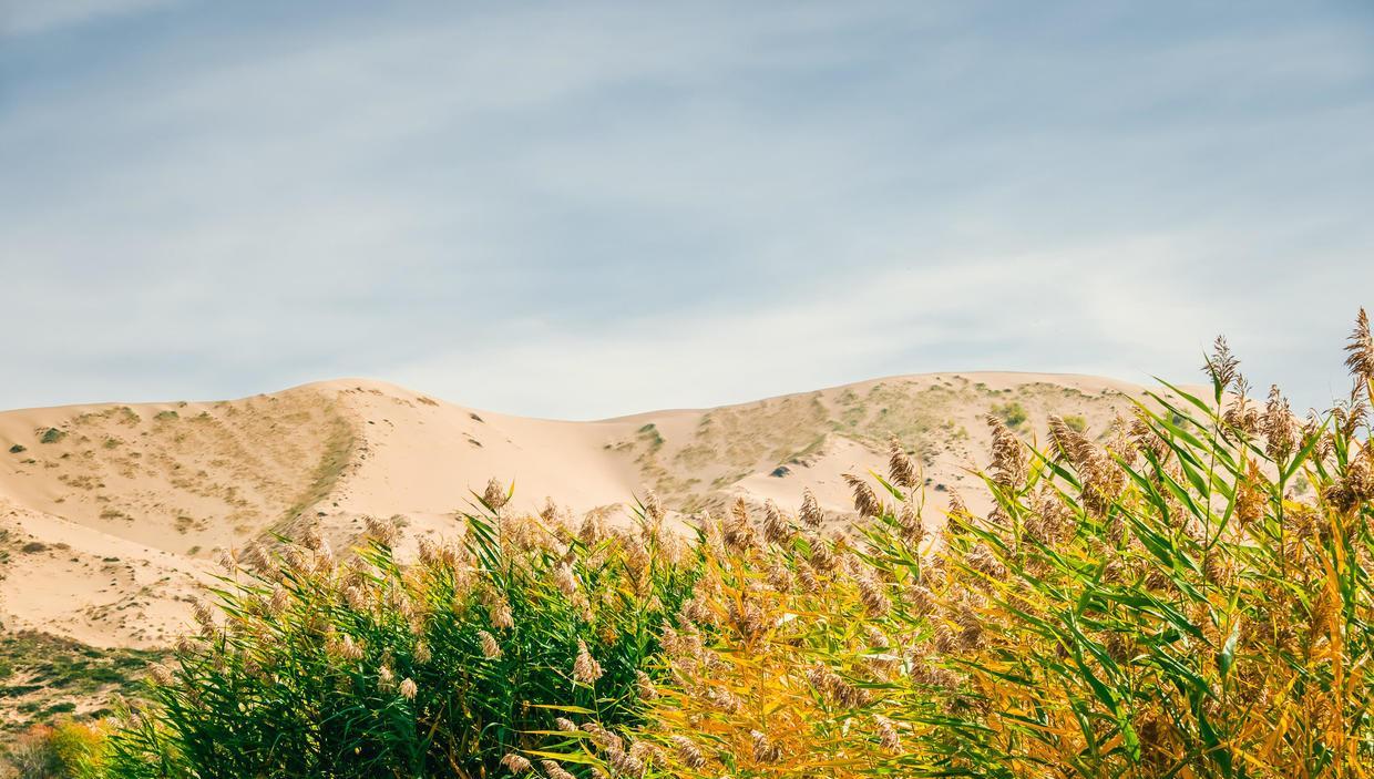 奶球妈咪聊|北疆边境沙漠有一个湖泊，南疆一湖与其同名，你去过吗？