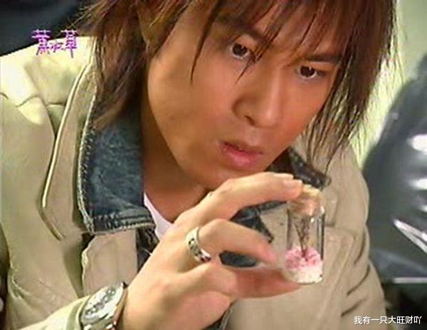 薰衣草|《薰衣草》从冷漠到深情，对以薰至死不渝的爱，是晴川最大的成长