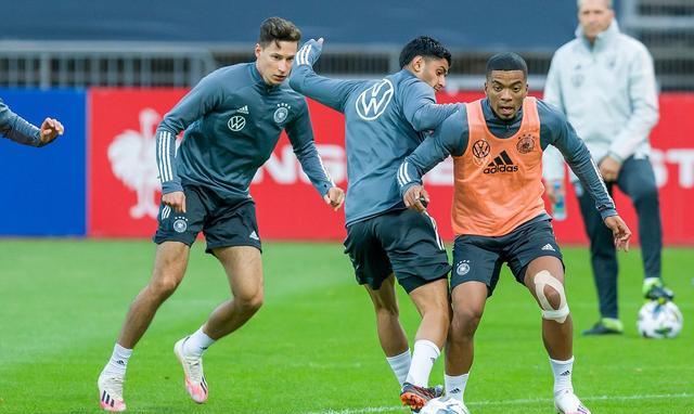 德国队|瑞典老将伊布回归，穆勒等多人落选，德国主帅勒夫执迷不悟