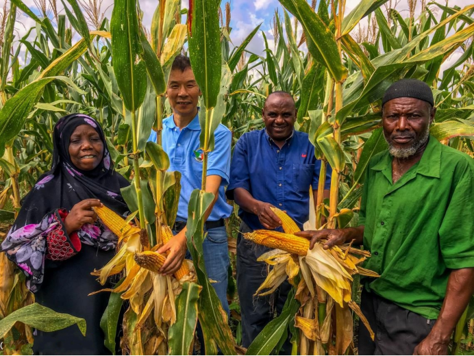 少明科学|美科学家:中国又开始“反人类操作”,万年荒地被他们种出粮食来