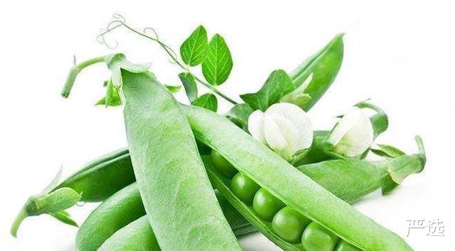 严选|女人延缓衰老并不难！3种食物不妨多吃，美容养颜，搭配1运动更佳