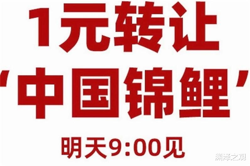 信小呆|当年中奖一亿的信小呆，被称为锦鲤女王，如今为何沦为“诈骗犯”